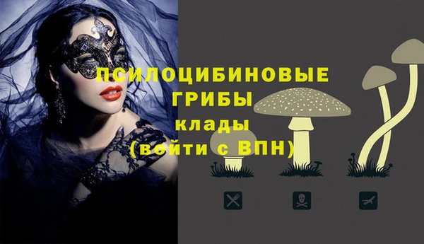 ПСИЛОЦИБИНОВЫЕ ГРИБЫ Верея