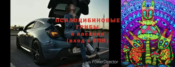 твердый Верхний Тагил