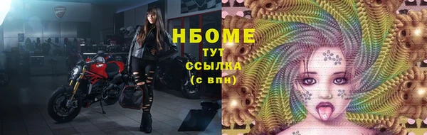 ПСИЛОЦИБИНОВЫЕ ГРИБЫ Верея