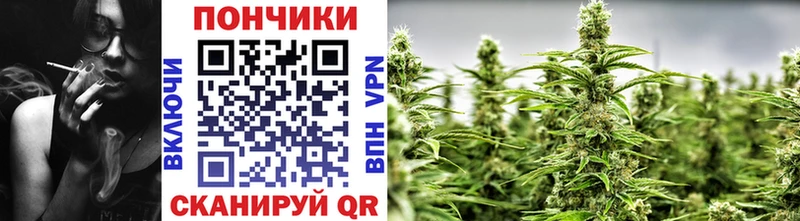 Марихуана Bruce Banner Покачи